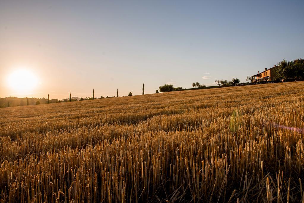 Agriturismo Il Tiro Castel del Piano  Eksteriør billede